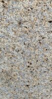 Flagstone G 201 - Petia Cream