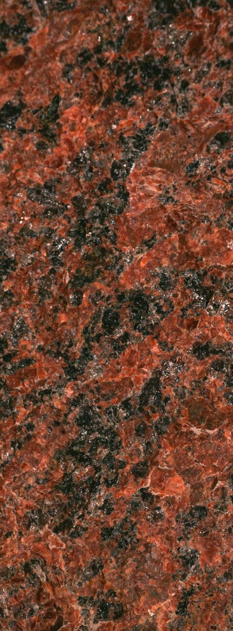 Vanga Red Vanga Red