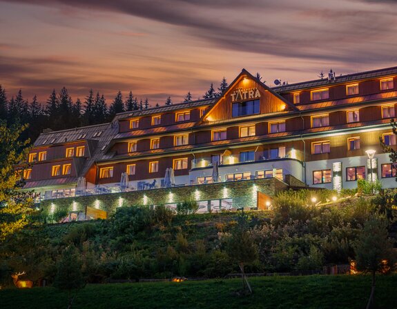 Obklad exteriéru + interiéru - N 3002 hrubý na síti - hotel Tatra Velké Karlovice